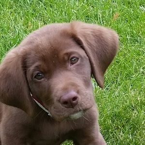 Meet your Posher, Jeff